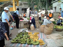 Vegetable market at Halong Bay