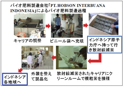 oCI엿ЁuPT. HOBSON INTERBUANA INDONESIAvɂoCI엿ߒ