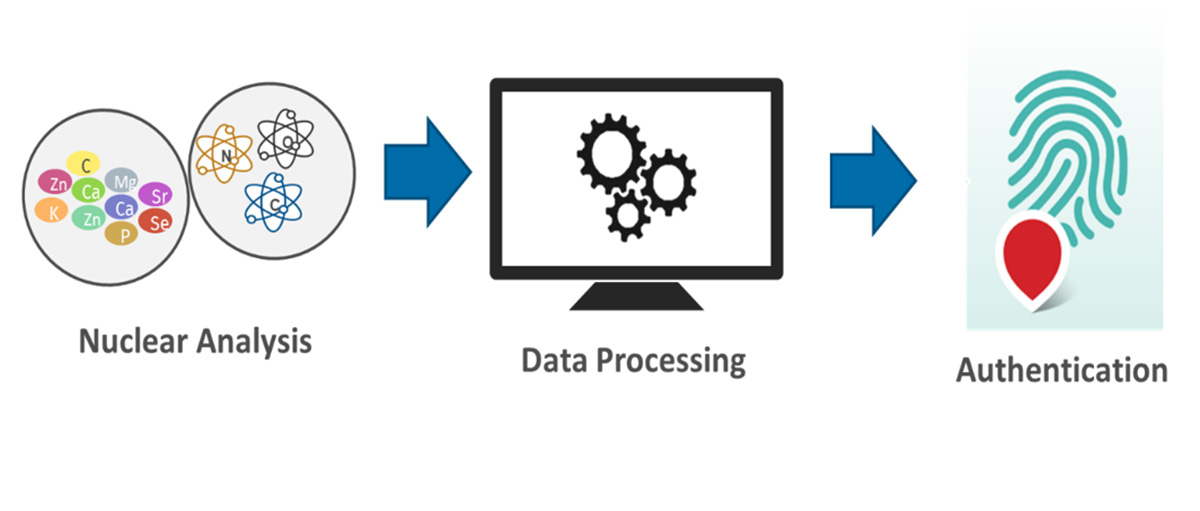 process diagram