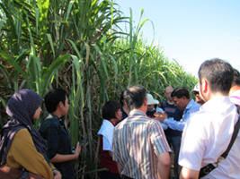 A Scene of Technical Visit