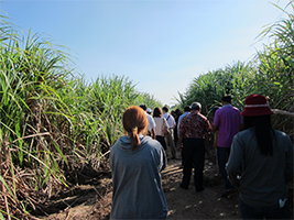 A Scene of Technical Visit 2