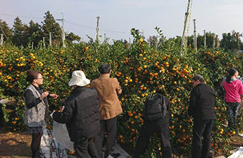 ”Photo of the Technical Visit 2