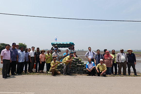 Group photo in the rice field